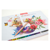 Matite colorate Bruynzeel Expression 36 pezzi per adulti