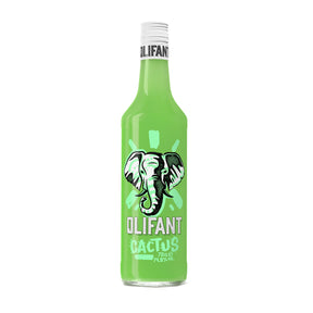 Cactus elefante (0,7 litri)