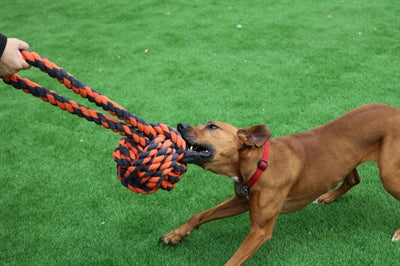 Happy pet Nuts for Knots Extreme Ball Tugger