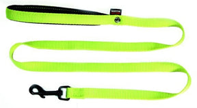 Guinzaglio per cani Martin nylon verde