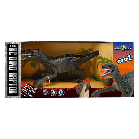 Robot Dino Raptor controllabile Gear2play RC a 2,4 GHz