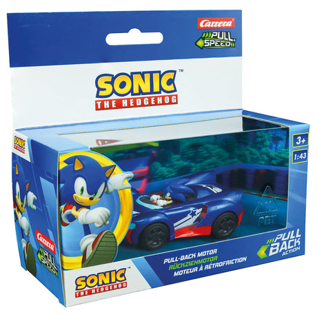 Carrera ritira l'auto del team sonic racing - blu