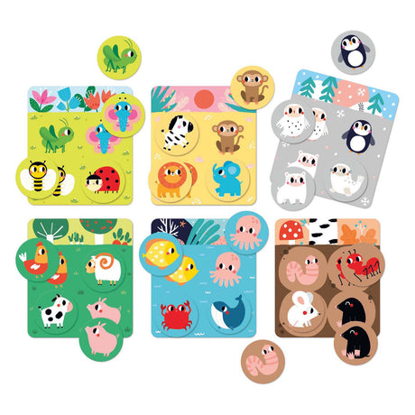 Banana panda - bingo nell'habitat