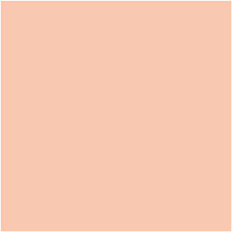 Bic http: www.cchobby.nl -visa-color-colored-markers-line-thickness-3-mm-light-beige-12-piece-1-box