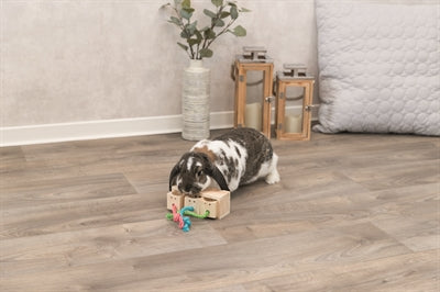 Trixie snack cube in legno