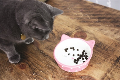 Ciotola per cibo per gatti Happy Pet rosa polka crema