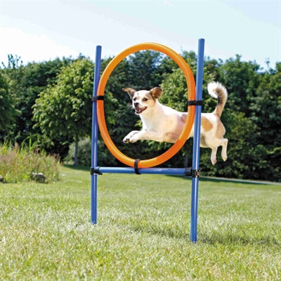 Anello Trixie per attività agilità per cani blu arancione