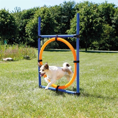 Anello Trixie per attività agilità per cani blu arancione
