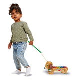 Xilofono Vtech Timmie Dachshund con luce e suono