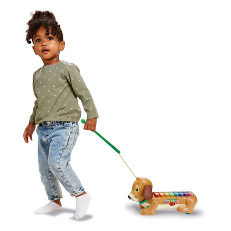 Xilofono Vtech Timmie Dachshund con luce e suono