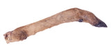 Petsnack Reeen Poot con lei