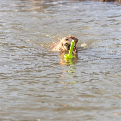Trixie attività per cani moth-aqua fetch float verde lime