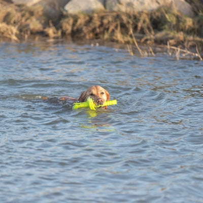 Trixie attività per cani moth-aqua fetch float verde lime