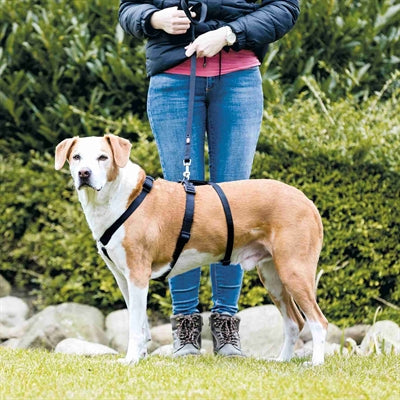 Pettorina per cani Trixie nera