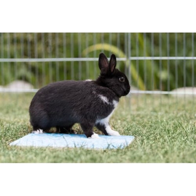 Trixie piastra refrigerante per piccoli animali blu