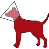Collare protettivo Trixie con velcro in plastica trasparente