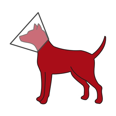 Collare protettivo Trixie con velcro in plastica trasparente