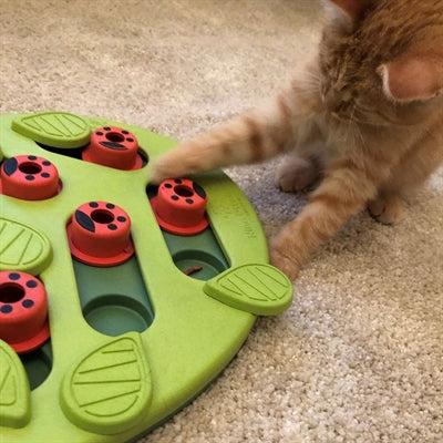 Nina Ottosson puzzle gioca a buggin out verde