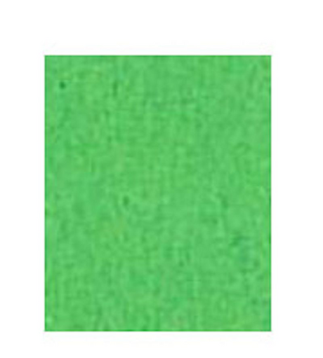 Folia fotokarton appelgroen 50x70cm 300gr pak a 25 vel