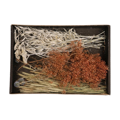 Collezioni naturali dijk collezioni naturali vassoio con mix di fiori secchi 38x26x5 cm
