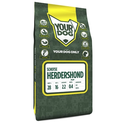 Tuo cucciolo di cane da pastore scozzese