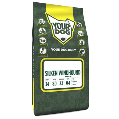 Il tuo silken windhound senior
