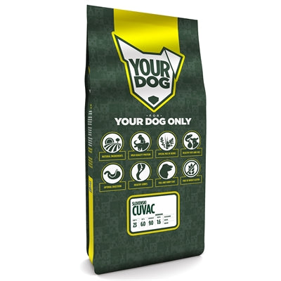 YourDog Slovenski Cuvac Senior