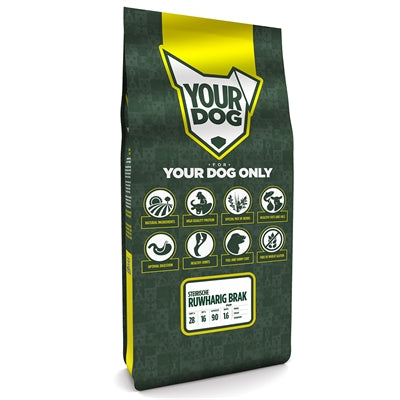 Il tuo cucciolo di rotto Steirical.