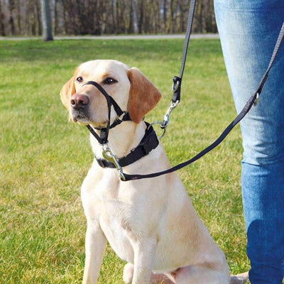 Pettorina per cani Trixie Top Trainer pettorina anti-trazione nera