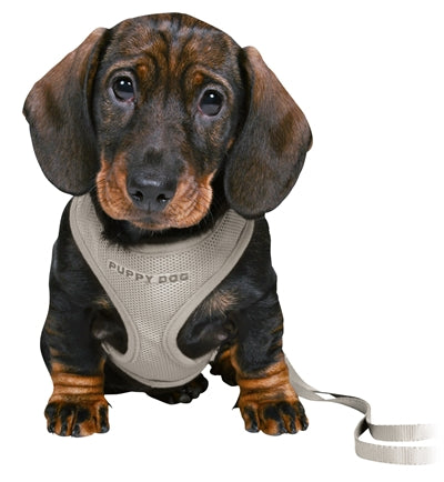 Trixie pettorina morbida per cuccioli junior con guinzaglio grigio chiaro
