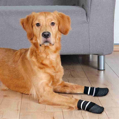 Calzini antiscivolo per cani Trixie con strato di gomma tutt'intorno, neri