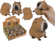 Dsp squeezie capibara. 12 pezzi in dsp.