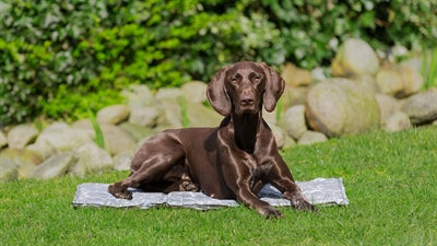 Trixie cool tappetino morbido grigio