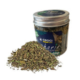 Vaso di erba gatta Croci Euphoria