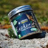 Vaso di erba gatta Croci Euphoria