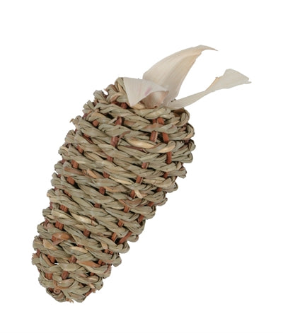 Zolux ehop root alghe marine