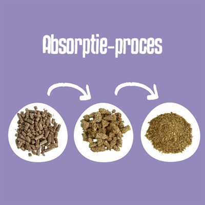 Lettiera per gatti classica in pellet di legno biodegradabile Easypets