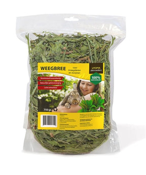 Utopia weegbree per roditori e conigli