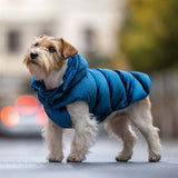 Croci Cappotto per cani in vellutino foderato blu