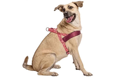 Pettorina per cani norvegese Morso riciclata rosa think pink