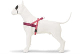 Pettorina per cani norvegese Morso riciclata rosa think pink
