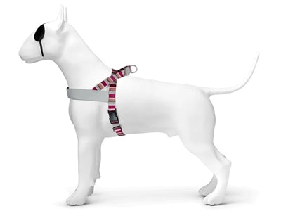 Pettorina per cane norvegese Morso riciclata skyline rosso rosa