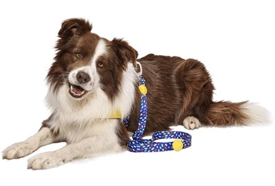 Guinzaglio per cani Morso riciclato colore invaders viola