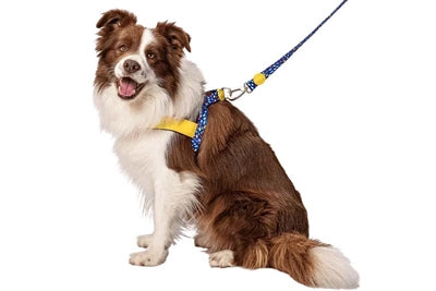 Pettorina per cani norvegese Morso riciclata colore invaders viola