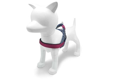 Pettorina norvegese per cani Morso riciclata Power Flow nera