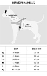 Pettorina norvegese per cani Morso riciclata Power Flow nera