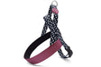 Pettorina norvegese per cani Morso riciclata Power Flow nera