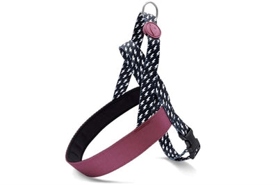Pettorina norvegese per cani Morso riciclata Power Flow nera