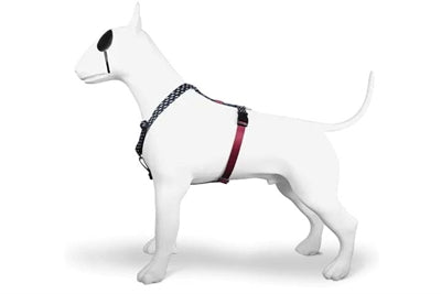 Pettorina per cani Morso pettorina ad H riciclata Power Flow nera