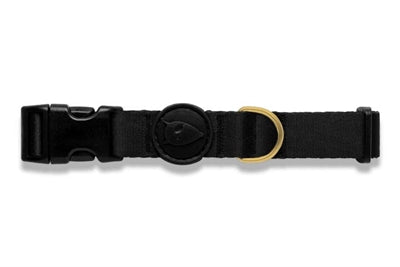 Collare per cani Morso oro riciclato caviale oro